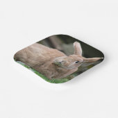 Cute ginger bunny met grote borden papieren bordje (Gebogen)