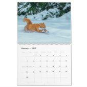 Cute Ginger Cat Calendar 2023 Kalender (Feb 2027)