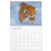 Cute Ginger Cat Calendar 2023 Kalender (Jan 2027)