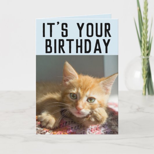 CUTE GINGER CAT KITTEN BIRTHDAAGKAARTEN KAART (Voorkant)