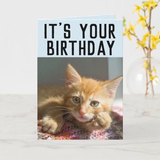CUTE GINGER CAT KITTEN BIRTHDAAGKAARTEN KAART (Gele Bloem)