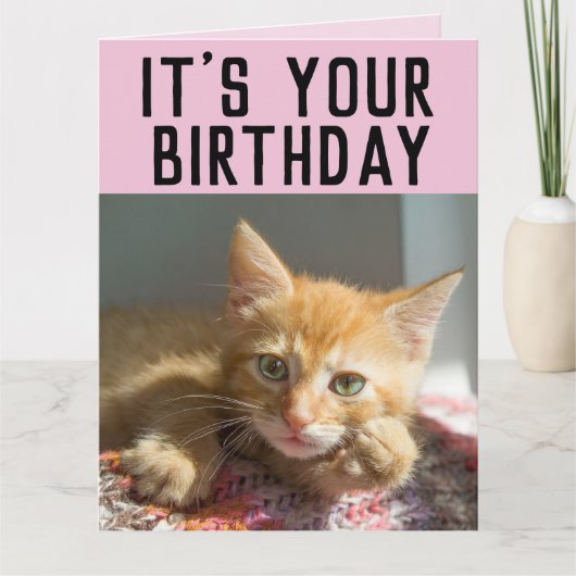 CUTE GINGER CAT KITTEN BIRTHDAAGKAARTEN KAART (Voorkant)