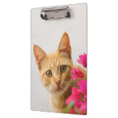 Cute Ginger Cat Kitten die je bekijken - Gepersona Klembord (Links)