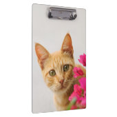 Cute Ginger Cat Kitten die je bekijken - Gepersona Klembord (Rechts)