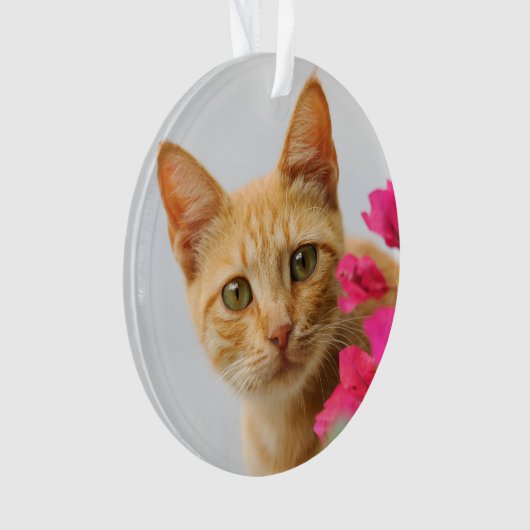 Cute Ginger Cat Kitten die je rondkijken met acryl Ornament (voorkant)