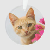 Cute Ginger Cat Kitten die je rondkijken met acryl Ornament (voorkant)