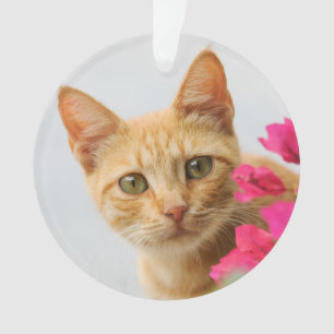 Cute Ginger Cat Kitten die je rondkijken met acryl Ornament