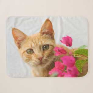 Cute Ginger Cat Kitten die ogen bekijken Foto Sherpa Deken