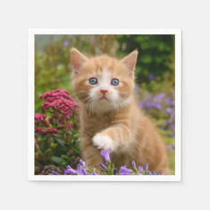 Cute Ginger Cat Kitten Face Baby Pet Animal Foto Servet