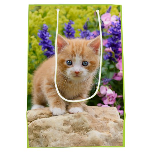 Cute Ginger Cat Kitten Flower Garden gift-wrapping Medium Cadeauzakje (Achterkant)