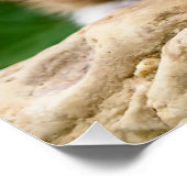 Cute Ginger Cat Kitten Flowery Garden Fotografie Perfect Poster (Hoek)