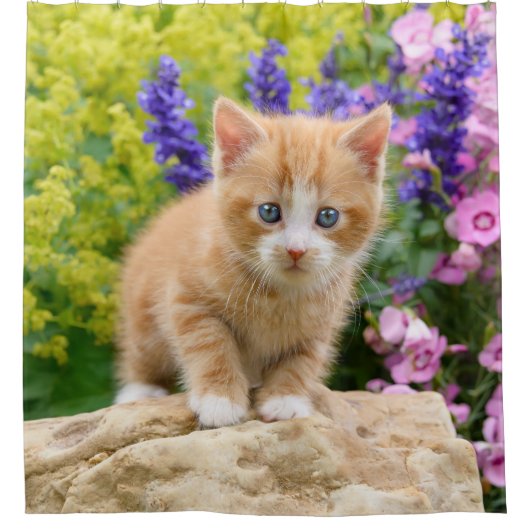 Cute Ginger Cat Kitten Flowery Garden Portrait Tub Douchegordijn (Voorkant)
