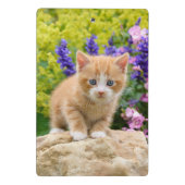 Cute Ginger Cat Kitten Flowery Garden Portret op Mini Klembord (Achterkant)