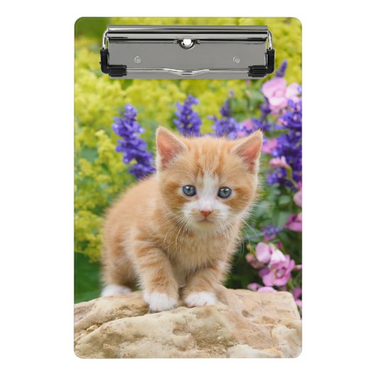 Cute Ginger Cat Kitten Flowery Garden Portret op Mini Klembord (Voorkant)