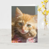 CUTE GINGER CAT KITTEN HALLO CARDS KAART (Gele Bloem)