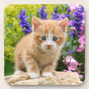 Cute Ginger Cat Kitten in een Flowery Garden Foto  Bier Onderzetter