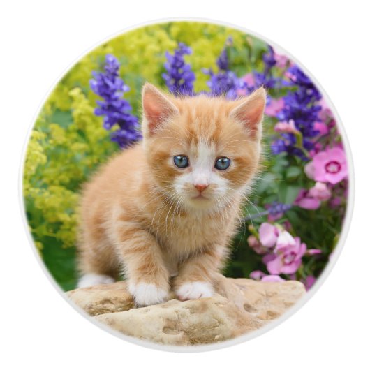 Cute Ginger Cat Kitten in Flowers - Decoratief Keramische Knop (Voorkant)