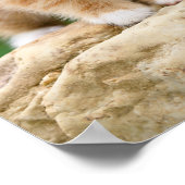 Cute Ginger Cat Kitten in Flowery Garden Pet Foto Poster (Hoek)