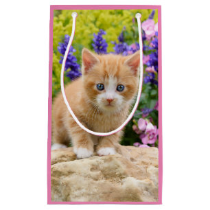 Cute Ginger Cat Kitten in Flowery Garden Portret Klein Cadeauzakje