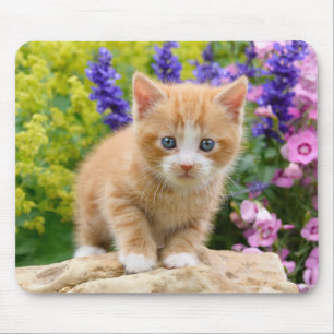 Cute Ginger Cat Kitten in Flowery Garden Portret Muismat