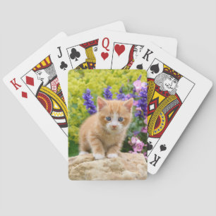 Cute Ginger Cat Kitten in Flowery Garden Portret Pokerkaarten