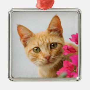 Cute Ginger Cat Kitten kijkt naar je foto - Metalen Ornament