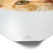 Cute Ginger Cat Kitten kijkt portret - Foto Afdruk (Hoek)