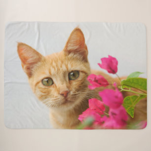 Cute Ginger Cat Kitten Watching Eyes Head Photo, Sherpa Deken