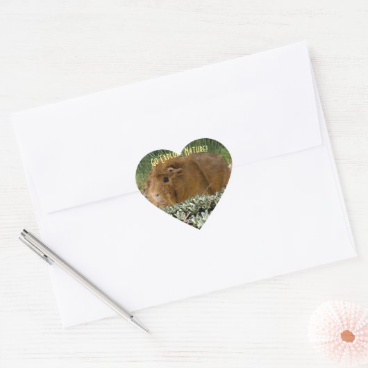 Cute Ginger Guinea Expling Natuur Foto Aangepast Hart Sticker (Envelop)