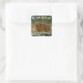 Cute Ginger Guinee Foto in Natuur - aangepaste tek Vierkante Sticker (Tas)