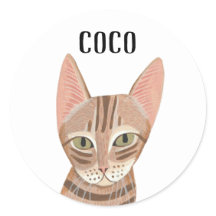 Cute Ginger Illustrated Cat