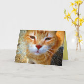 Cute Ginger Kat Friendly Little Cat Kaart (Gele Bloem)