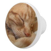 Cute Ginger Oranje Cat Dresser Knobs Keramische Knop (Rechts)