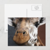 Cute Giraffe Briefkaart (Voorkant / Achterkant)