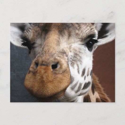 Cute Giraffe Briefkaart (Voorkant)