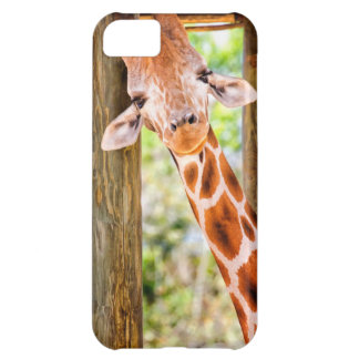 Cute Giraffe iPhone 5C Hoesje