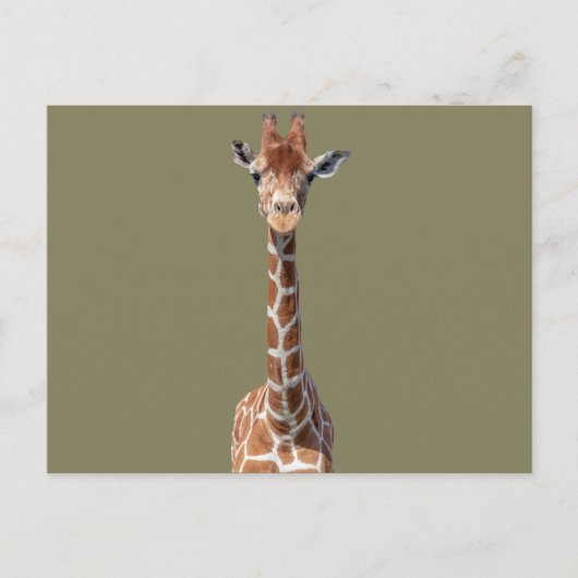 Cute giraffe face briefkaart (Voorkant)