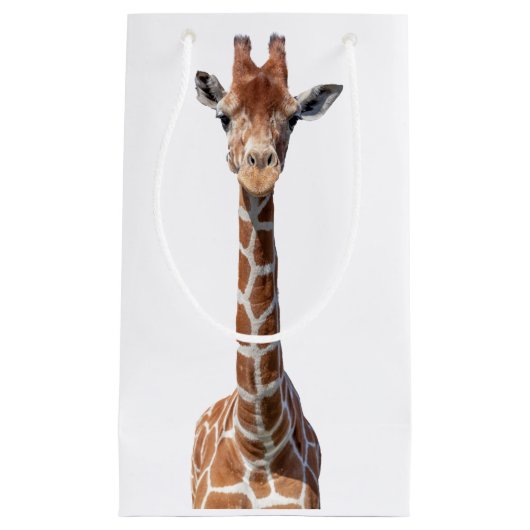 Cute giraffe face klein cadeauzakje (Voorkant)