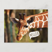 Cute Giraffe Head Hallo Briefkaart (Voorkant)