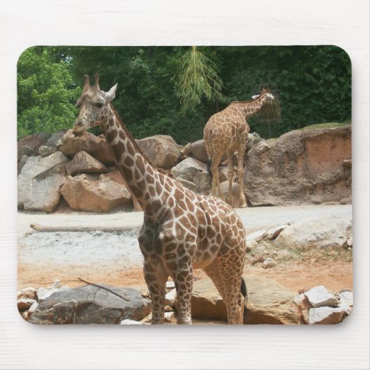 Cute Giraffe Mousepad Muismat (Voorkant)