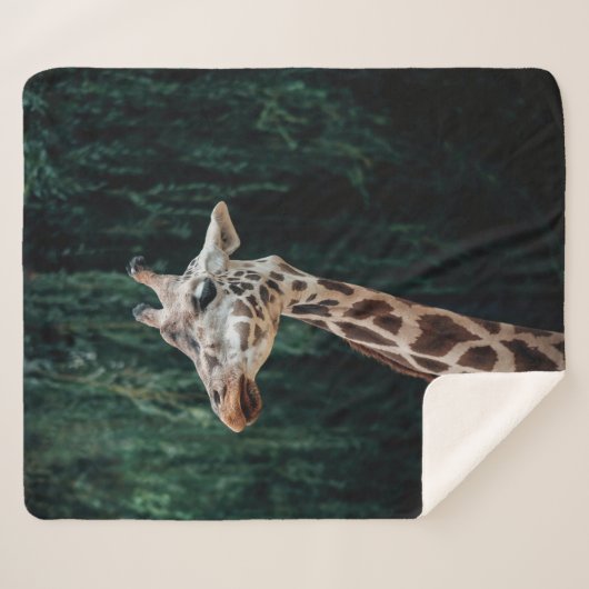 CUTE GIRAFFE PORTRAIT SHERPA DEKEN (Voorkant (horizontaal))