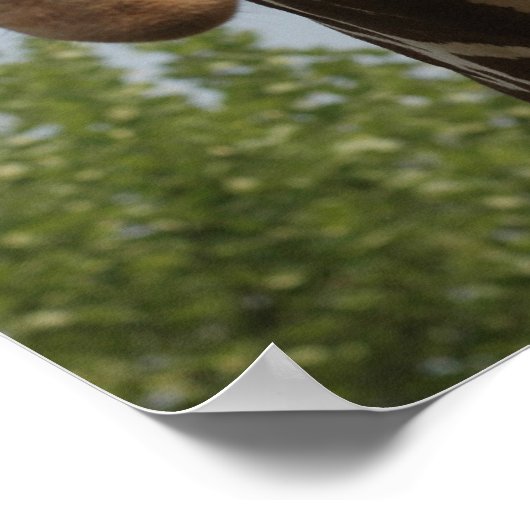 Cute Giraffe Poster (Hoek)