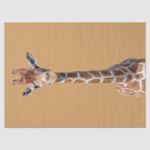 Cute giraffe tissuepapier