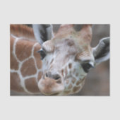 Cute Giraffe Tissuepapier (Voorkant)