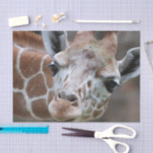 Cute Giraffe Tissuepapier (Craft)