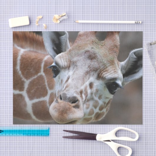 Cute Giraffe Tissuepapier (Craft)
