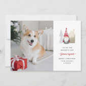 Cute Gnome betreurt | kerstfoto eten Feestdagenkaart (Voorkant)