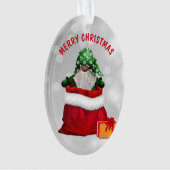 Cute Gnome Gift Surprise Ornament (voorkant)