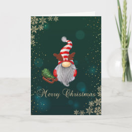 Cute Gnome Sleigh Snowflakes Feestdagen Kaart