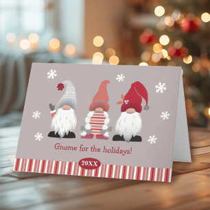 Cute Gnome voor de Feestdagen Nordic Red Pink Grey Kaart